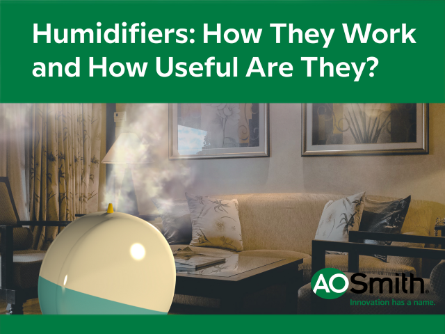Humidifiers: How They Work and How Useful Are They?