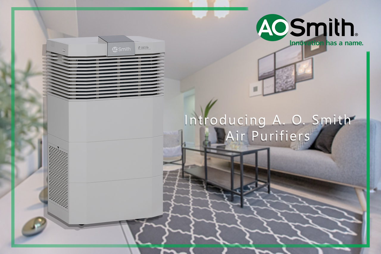 A. O. Smith Air Purifiers living room