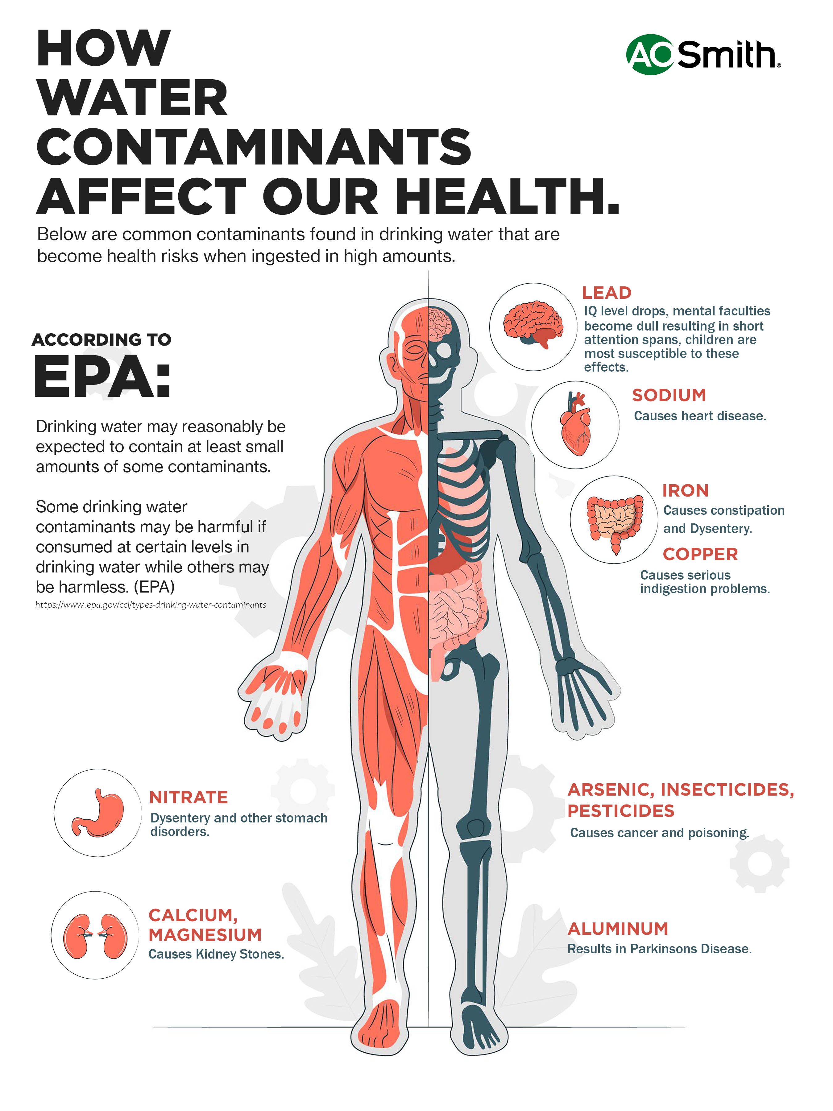 WATER CONTAMINANTS EFFECT