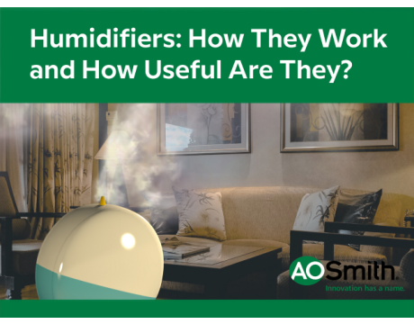 Humidifiers: How They Work and How Useful Are They?