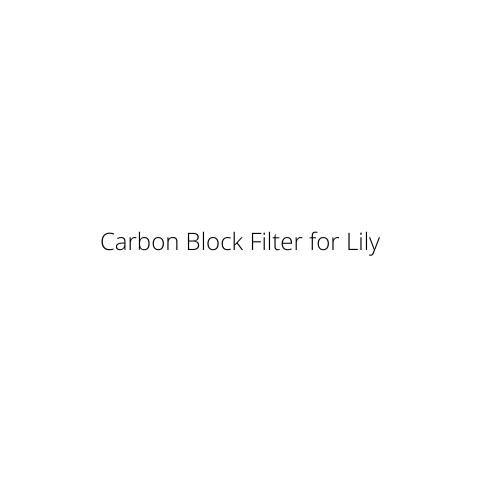 Carbon Block Filter for Lily