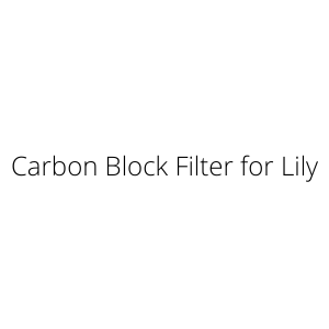 Carbon Block Filter for Lily