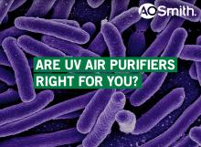 Are UV air purifiers right for you?